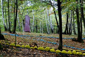 Sacred Woods stone circuitry and standing stone