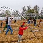 Damanhur greenhouse raising