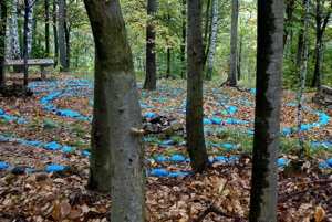 Stone spiral in the Sacred Woods