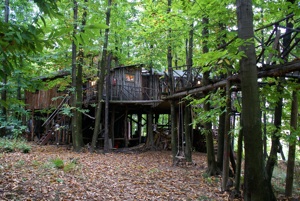 Tree house in Sacred Woods, Damanhur 4